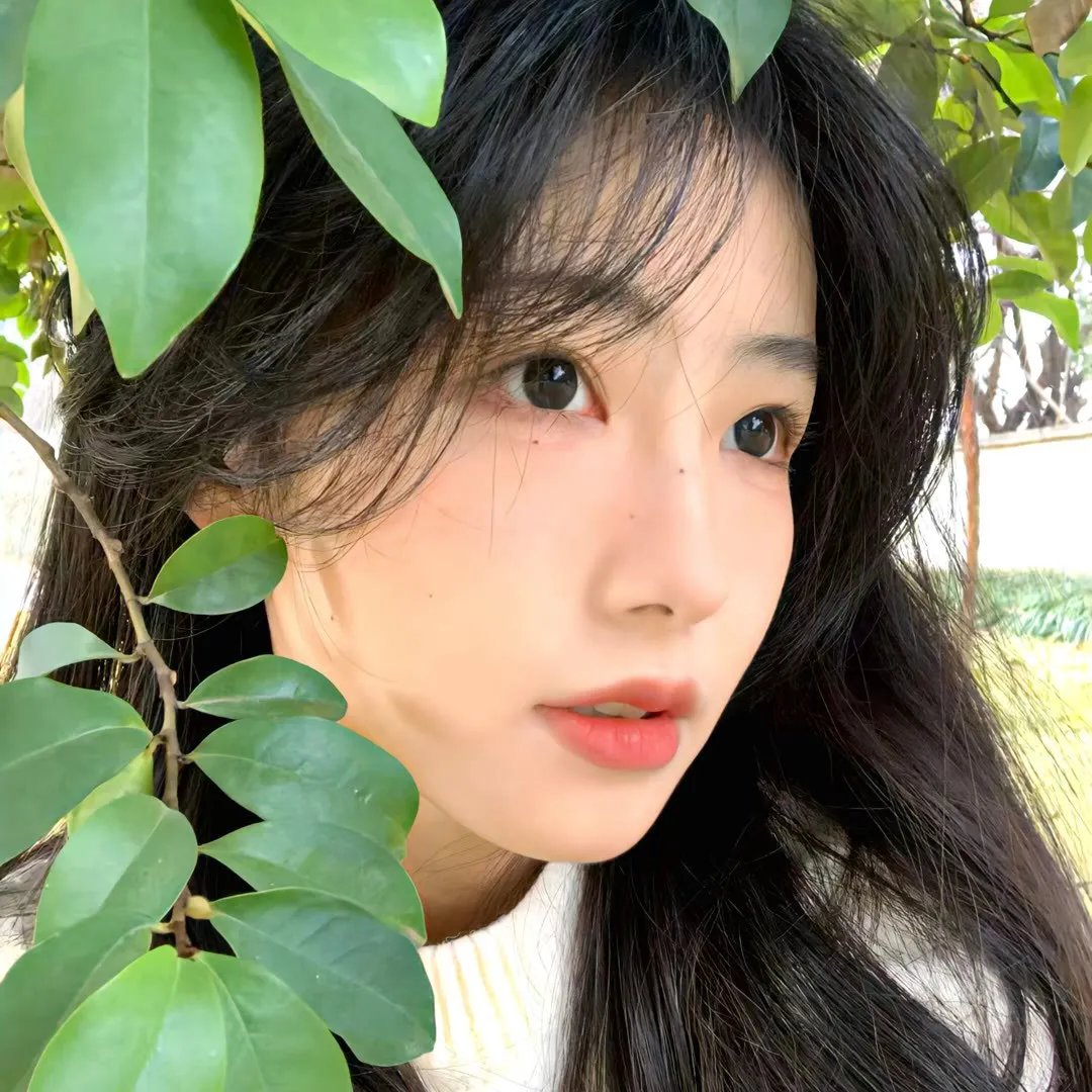 亲爱的莎拉